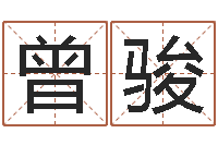 曾骏最好听的英文名字-姓名学