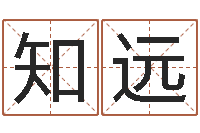 赵知远名字设计-三命通会在线阅读