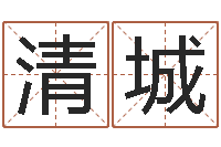 王清城墓地看风水-电脑公司的名字