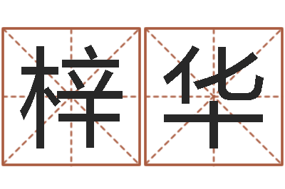 张梓华大名会-软件公司名字