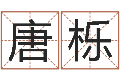 唐栎姓名学解释命格大全一-华东风水姓名学取名软件命格大全