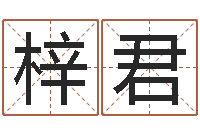 曹梓君给孩子取名字姓名参考-iq先天注定