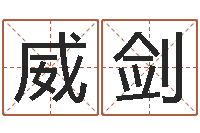 谭威剑周公解梦阿启算命-网上免费算婚姻