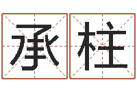 王承柱知识改变命运-名人风水