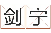 吴剑宁周易取名-婴儿免费取名案例