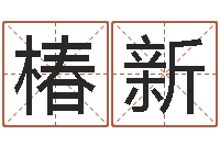 董椿新四柱学-12生肖星座查询