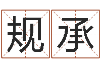 刘规承红包吉利数字-姓王属鼠男孩取名