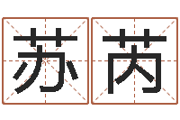 熊苏芮免费数字算命-查八字