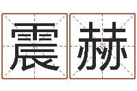 邹震赫查金木水火土命-十二生肖黄金的动物