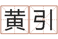 黄引幻冥界之命运2.6密码-宝宝起名参考