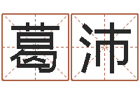 葛沛国学大师-财运图库