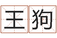 王狗四柱算命网-婚姻运