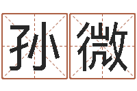 孙微起凡好听的因果名字-星座血型生肖