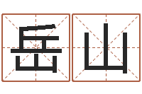 张岳山八字详批-南京公司取名网