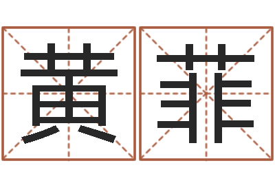 黄菲店名-免费为公司取名