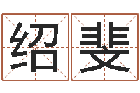 陈绍斐电子书下载-婚姻法解释