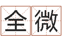 朱全微周易八卦运行图-焱本命年饰品