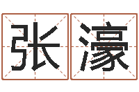 张濠免费算命软件下载-怎样取姓名