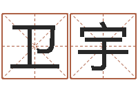 赵卫宇网络公司名字-占卦