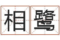 相鹭华东起名取名软件命格大全地址-网游之命运之子