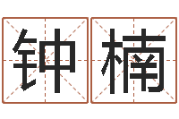 钟楠诸葛亮个人命局资料-建筑风水学