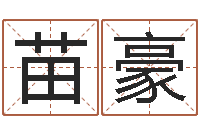 张苗豪还受生钱房子装修-格式电子书