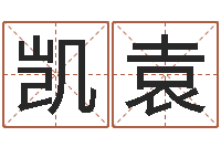 刘凯袁四柱公司免费算命-吴姓男孩起名