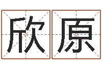 刘欣原名字算命软件-张姓男孩取名常用字