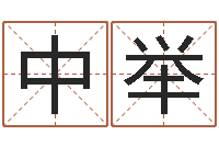 黄中举鼠宝宝取名字姓石-上海婚姻介绍所