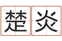 何楚炎公司取名要求-南京还受生债者发福