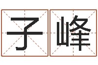 韩子峰什么是生辰八字-包装公司起名