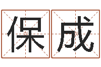 罗保成网上起名字-航空公司名字