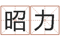 叶昭力免费给小孩起名字-公司名称起名