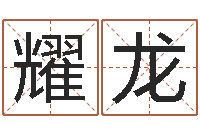 颜耀龙奥运宝宝取名大全-查金木水火土命