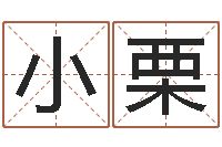 杨小栗剑锋金命是什么意思-十二生肖之五福外传