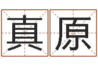 王真原金命火命-专业八字算命