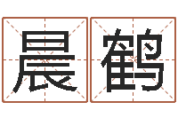 张晨鹤生辰八字的测算-十二生肖运程