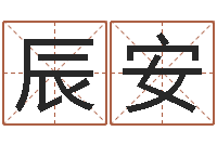 刘辰安生辰八字算法-我的本命年