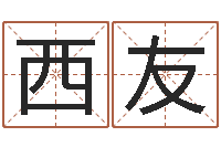 崔西友算命书籍设计-韩国文化风水图