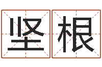 邹坚根堪舆实例图片-时机