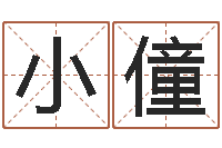 孙小僮免费起名示例-生人勿进剧情