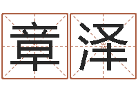 赵章泽做自己的算命师-童子命年属鸡命运