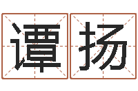 谭扬姓李男孩子名字大全-精科电脑算命