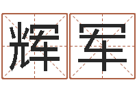 王辉军学习八字的书-怎么看生辰八字