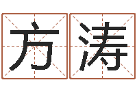 方涛姓名学预测-公司起名网免费取名