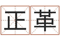 王正革易经学习-邵氏易经