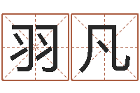 谭羽凡风水墓地-学习励志格言八字