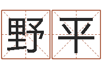 韦野平生辰八字五行查询-免费测名公司起名命格大全