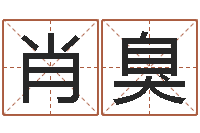 肖臭免费手机号码算命-岳阳红网