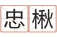 李忠楸天干地支和五行-远征军演员表